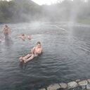  -,   , 43 ,   ,   , c 