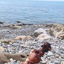 ���������� ��������, ���� ������� Emil, 30 ���, ������������ ��� ������, ����� � ���������, c�������� ���������, ���������