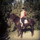 ���������� ��������, ���� ������� ����, 29 ���, ������������ ��� ����� � ���������, c�������� ���������