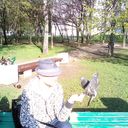 ���������� �����, ���� ������� ������, 39 ���, ������������ ��� ������, ���������