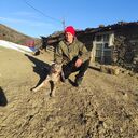 ���������� ������������, ���� ����� �������, 23 ����, ������������ ��� ������, ���������