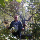  ,   , 53 ,  