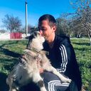 ���������� ������������, ���� ������� ����������, 31 ���, ������������ ��� ������, ����� � ���������, c�������� ���������