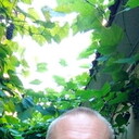 ���������� ������, ���� ������� �������, 49 ���, ������������ ��� ������, ����� � ���������, c�������� ���������