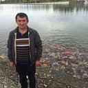 ���������� ����, ���� ������� Aslan, 40 ���, ������������ ��� ������, ����� � ���������, c�������� ���������