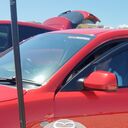 ���������� �����������, ���� ������� ������, 43 ����, ������������ ��� c�������� ���������