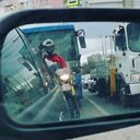 ���������� �����������, ���� ������� �������, 31 ���, ������������ 