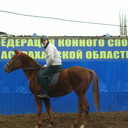  Novy,   , 63 ,   ,   