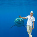 ���������� �������, ���� ������� �����, 43 ����, ������������ ��� ������, ����� � ���������, c�������� ���������