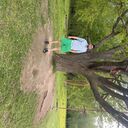 ���������� ������, ���� ������� �����, 28 ���, ������������ ��� ������, ����� � ���������