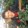  ,   , 53 ,   ,   , c 