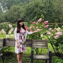  -,   , 43 ,   ,   , c 