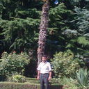  ,   ARGO, 60 ,     , c 