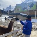 ���������� ������, ���� ������� �������, 32 ����, ������������ ��� ������