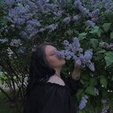 ���������� �����-���������, ���� ������� ��������, 21 ���, ������������ ��� ������, ����� � ���������