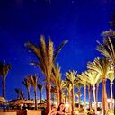 ���������� Tauberbischofsheim, ���� ������� Eugenia, 18 ���, ������������ ��� ������, ����� � ���������, ���������