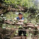  ,   , 37 ,   ,   , c , 