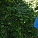 ���������� ������-��-����, ���� ������� �����, 39 ���, ������������ ��� ������, ����� � ���������, c�������� ���������, ���������