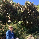 ���������� �����-���������, ���� ������� �������, 59 ���, ������������ ��� ����� � ���������, c�������� ���������