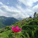 ���������� ������, ���� ������� ���, 28 ���, ������������ ��� ������, ����� � ���������, c�������� ���������