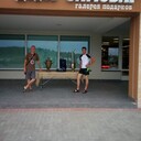 ���������� ������������, ���� ������� ������, 36 ���, ������������ ��� ������, ����� � ���������, c�������� ���������, ���������