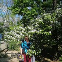 ���������� ������-��-����, ���� ������� �����, 51 ���, ������������ ��� ������, ����� � ���������