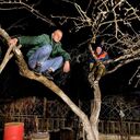 ���������� ������, ���� ������� ������, 27 ���, ������������ ��� ������, ����� � ���������