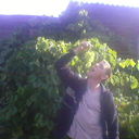 ���������� �����, ���� ������� ��������, 38 ���, ������������ ��� ������, ����� � ���������, c�������� ���������