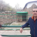 ���������� �������, ���� ������� ������, 51 ���, ������������ ��� ����� � ���������, c�������� ���������