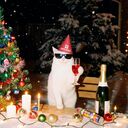 ���������� ������, ���� ������� �����, 45 ���, ������������ ��� ������, ����� � ���������, c�������� ���������