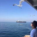 ���������� �������, ���� ������� Ali, 35 ���, ������������ ��� ������, ����� � ���������