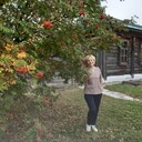 ���������� ������, ���� ������� �������, 55 ���, ������������ ��� ����� � ���������, c�������� ���������