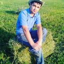 ���������� ������, ���� ������� ����, 36 ���, ������������ ��� ������, ����� � ���������