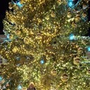 ,   Kristi, 53 ,   ,   