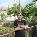 ���������� ���������, ���� ������� �������, 38 ���, ������������ ��� ������, ����� � ���������, c�������� ���������, ���������