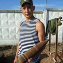 ���������� ���������, ���� ������� ������, 31 ���, ������������ ��� ������