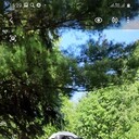 ���������� ���������, ���� ������� ������, 51 ���, ������������ ��� ������, ����� � ���������, c�������� ���������, ���������