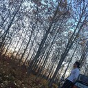 ���������� ������, ���� ������� �������, 27 ���, ������������ ��� ������, ����� � ���������