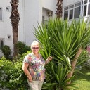  -,   , 70 ,   ,   , c 