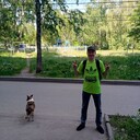 ���������� ���������, ���� ������� ������, 33 ����, ������������ ��� ������, ����� � ���������, c�������� ���������