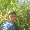 ���������� ������, ���� ������� ���������, 37 ���, ������������ ��� ���������