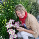  ,   Marina, 41 ,     , c 