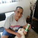  ,   Voiager, 50 ,   