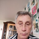 ,   , 81 ,     , c 