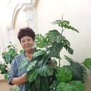  ,   , 67 ,     , c 