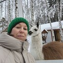 ���������� ������������, ���� ������� �����, 51 ���, ������������ ��� c�������� ���������