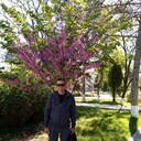  ,   , 66 ,   ,   