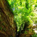 ���������� ���������, ���� ������� ������, 43 ����, ������������ ��� ������, ����� � ���������, c�������� ���������, ���������