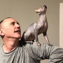 ���������� ���������, ���� ������� ���������, 50 ���, ������������ ��� ������, ����� � ���������