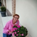 ���������� �����, ���� ������� �����, 56 ���, ������������ ��� ����� � ���������, c�������� ���������